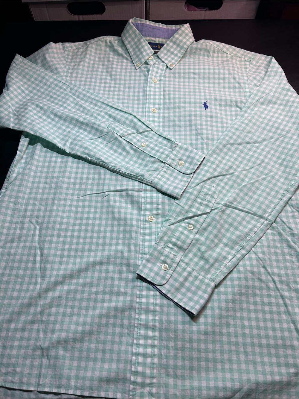 Polo Ralph Lauren Men’s Mint Green White Gingham Button Down Shirt